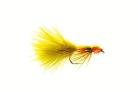 Glister Olive Orange Damsel