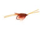 Fyggi Brown Shrimp