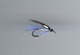 RS Blue CDC fly