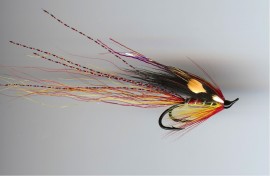 RS Red Cascade Patriot double