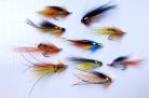 Magical May salmon flies ( Pro Deal )