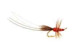 Red Frances Gold Double (Pro choice)