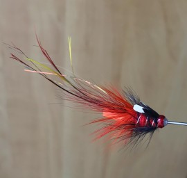 RS Pot Bellied Pig Red (Tungsten)
